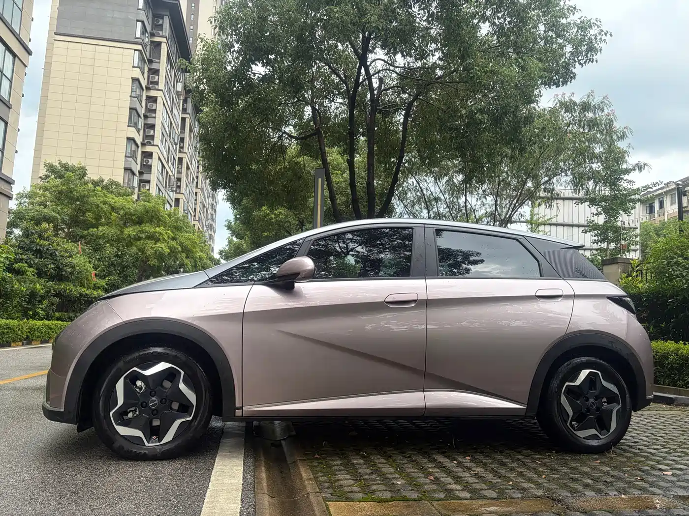 BYD Dolphin 2021 2021 Model 405km Fashion Edition
