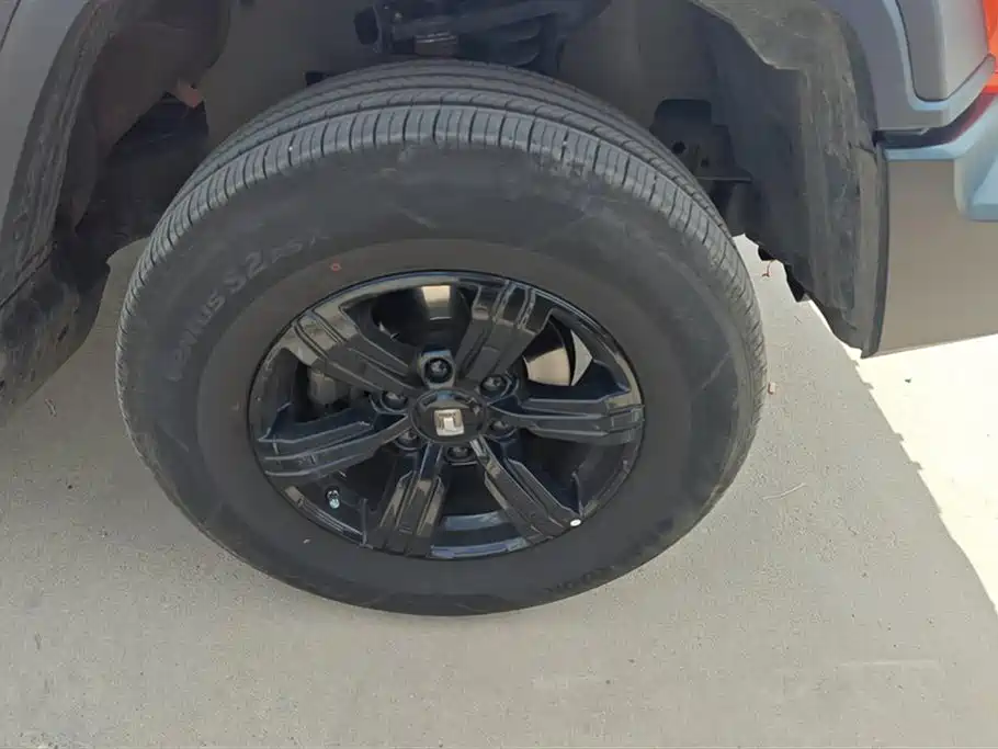 Tank 300 2023 Off-Road Edition 2.0T Conqueror фото 6