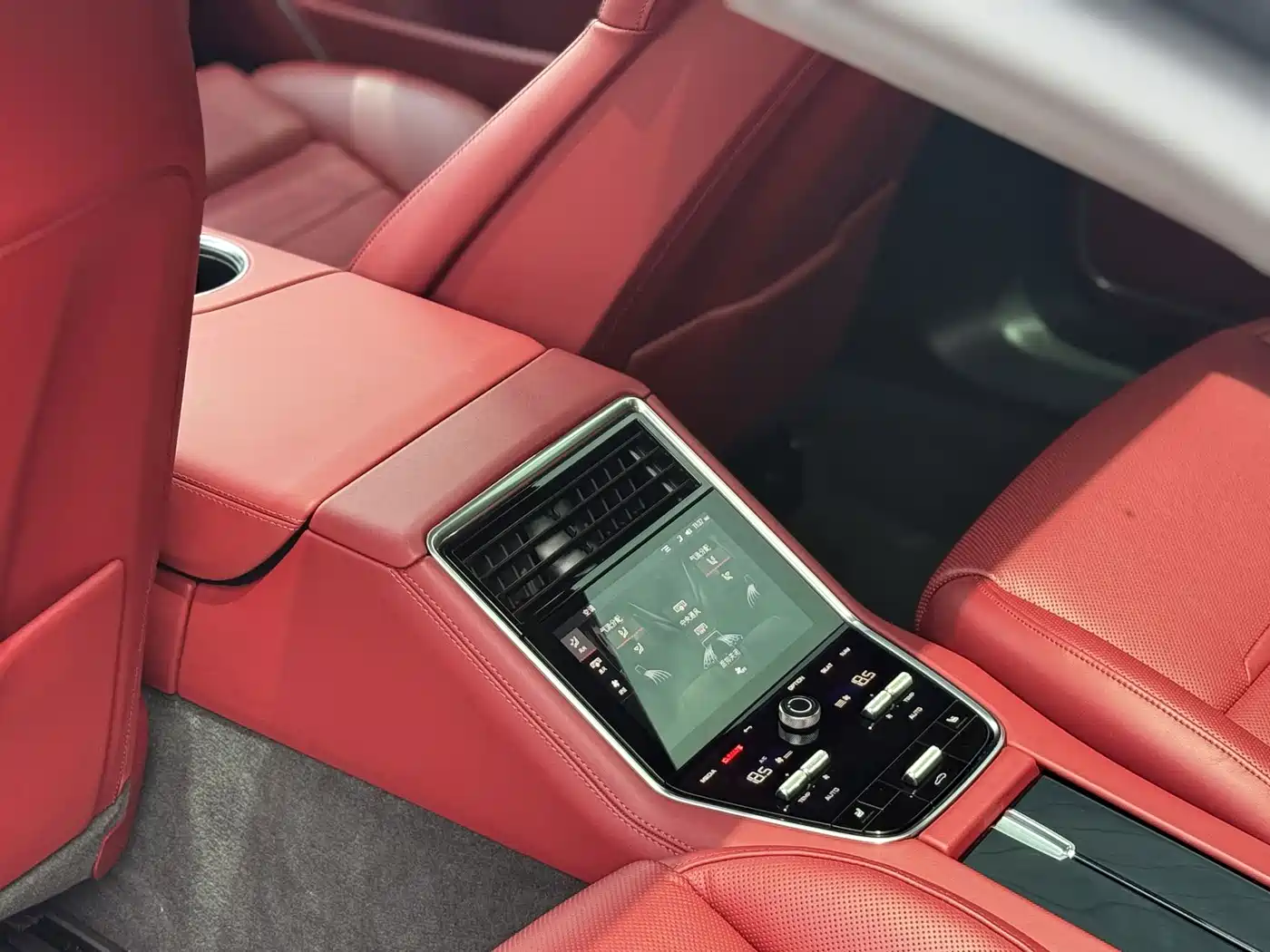  Panamera New Energy