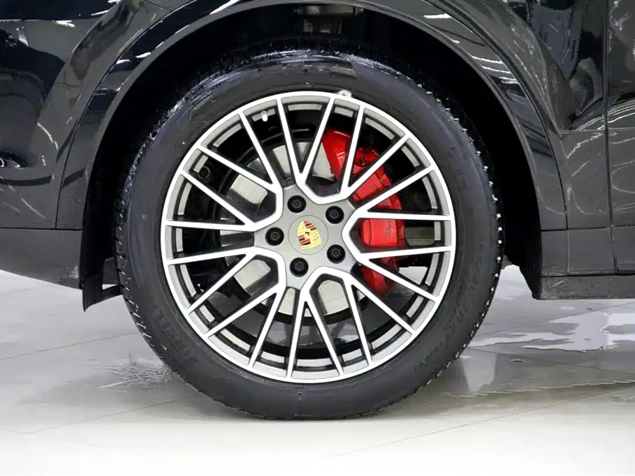 Porsche Cayenne 2023 Cayenne 3.0T Platinum Edition фото 29