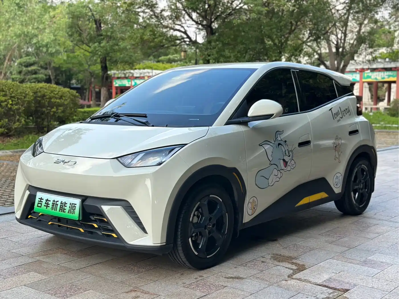 BYD Seagull 2023 Freedom Edition