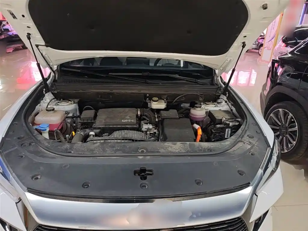 BYD Song Pro New Energy 2024 Glory Edition DM-i 71KM Pilot фото 20