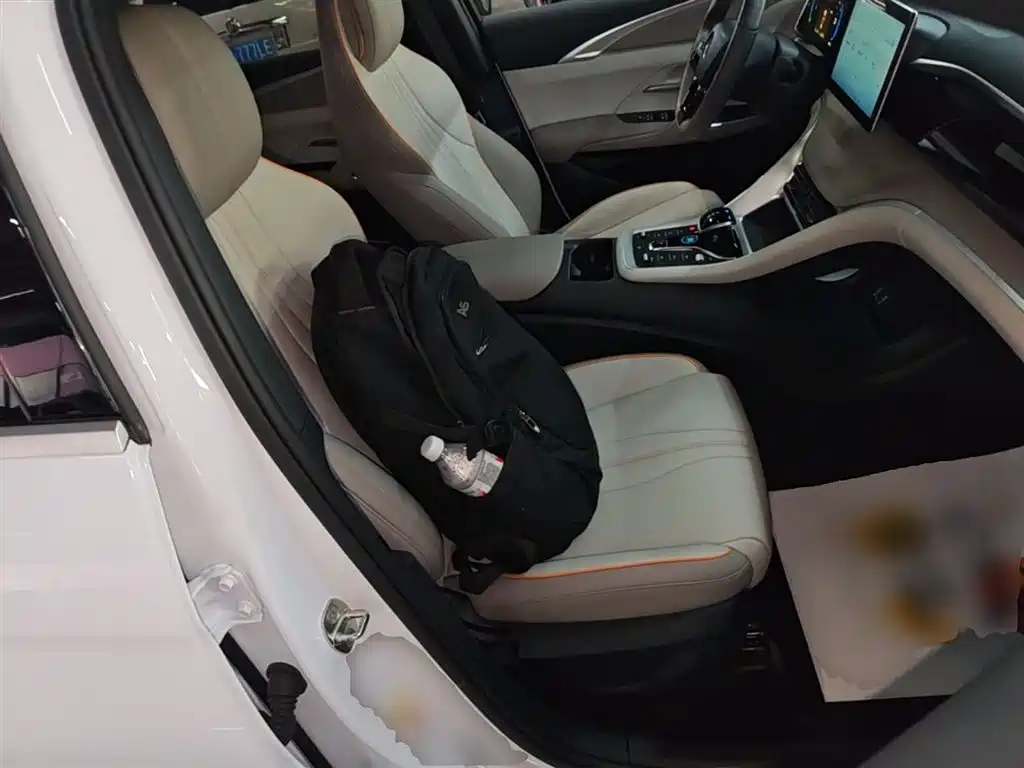 BYD Song Pro New Energy 2024 Glory Edition DM-i 71KM Pilot фото 25