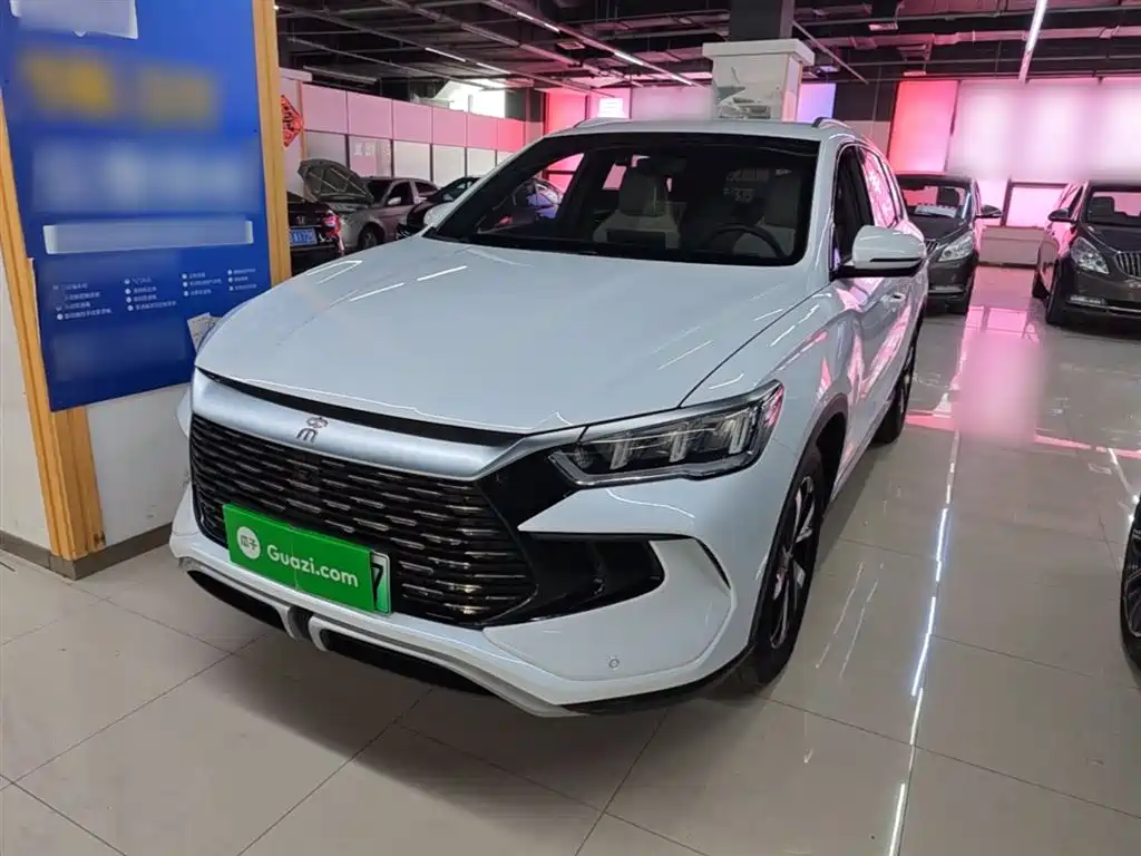 BYD Song Pro New Energy 2024 Glory Edition DM-i 71KM Pilot