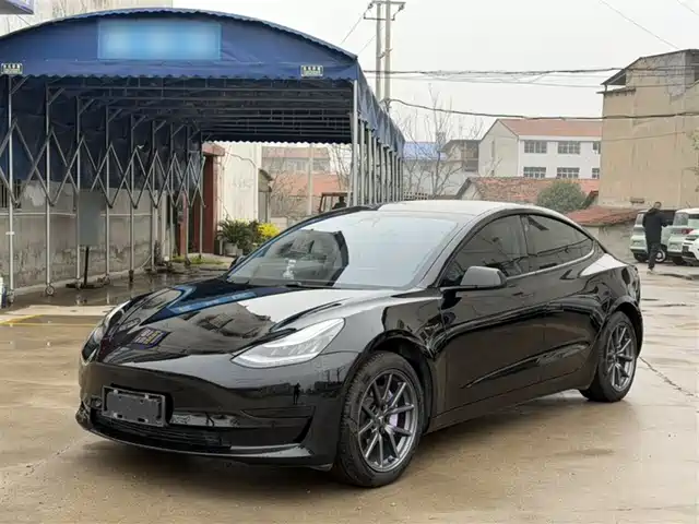 TESLA MODEL 3 2020