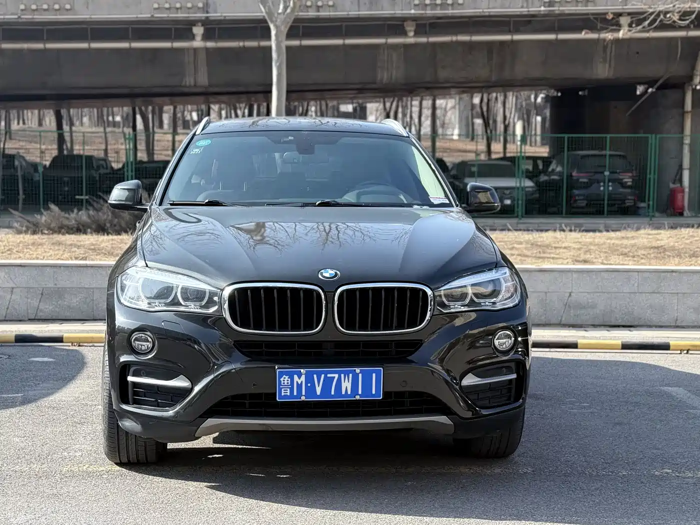BMW X6 2015 xDrive35i Luxury Model фото 2