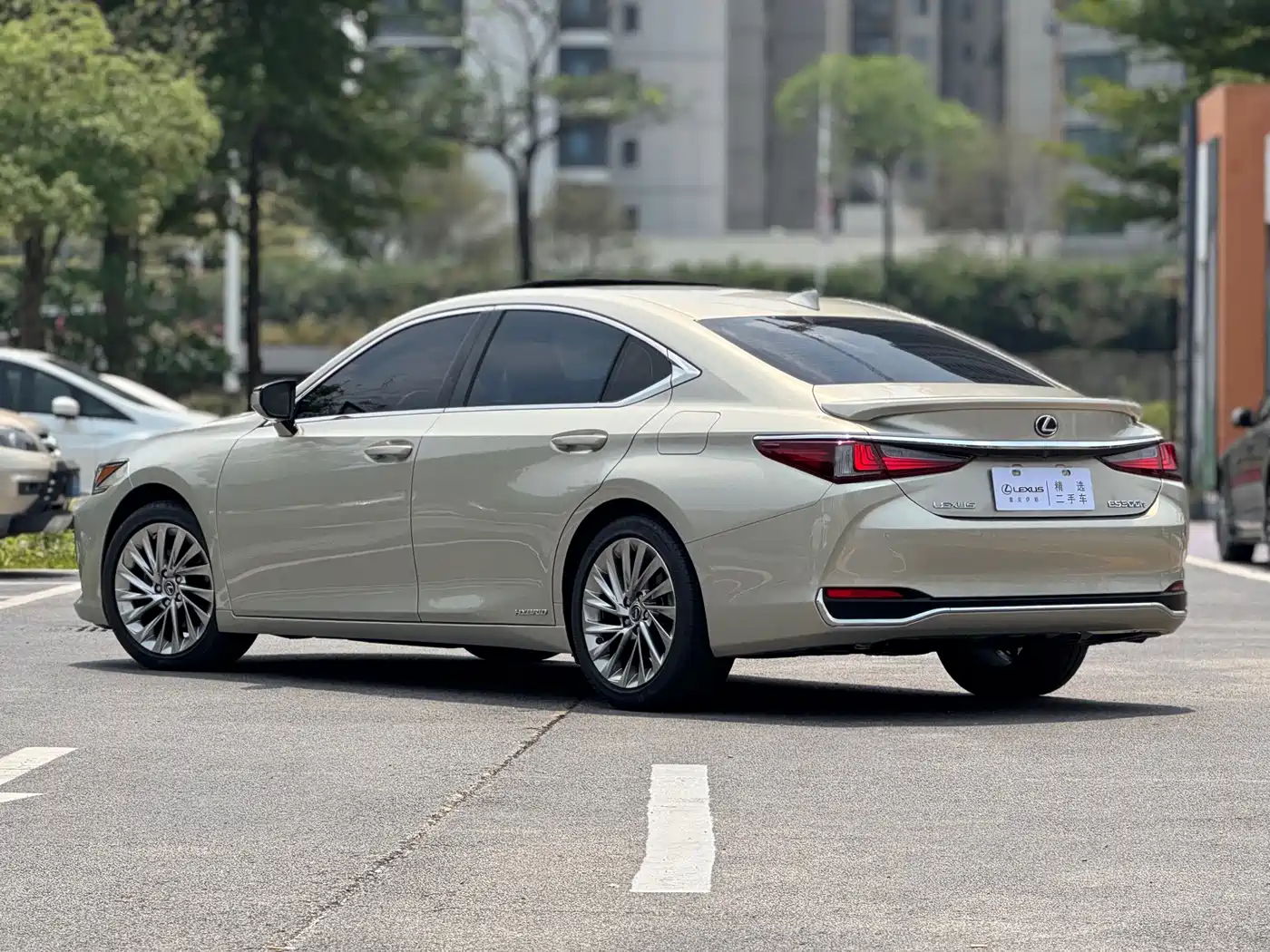 Lexus ES 2018 300h Executive Edition China V фото 4