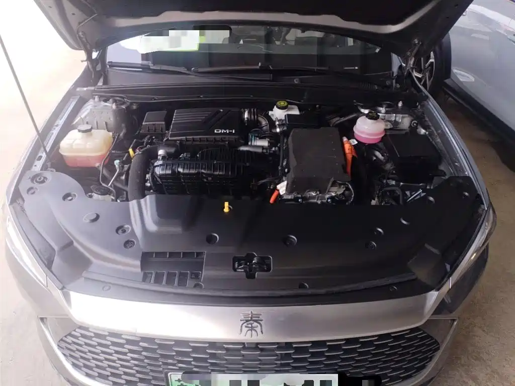 BYD Qin PLUS 2023 Champion Edition DM-i 55KM Leading фото 20