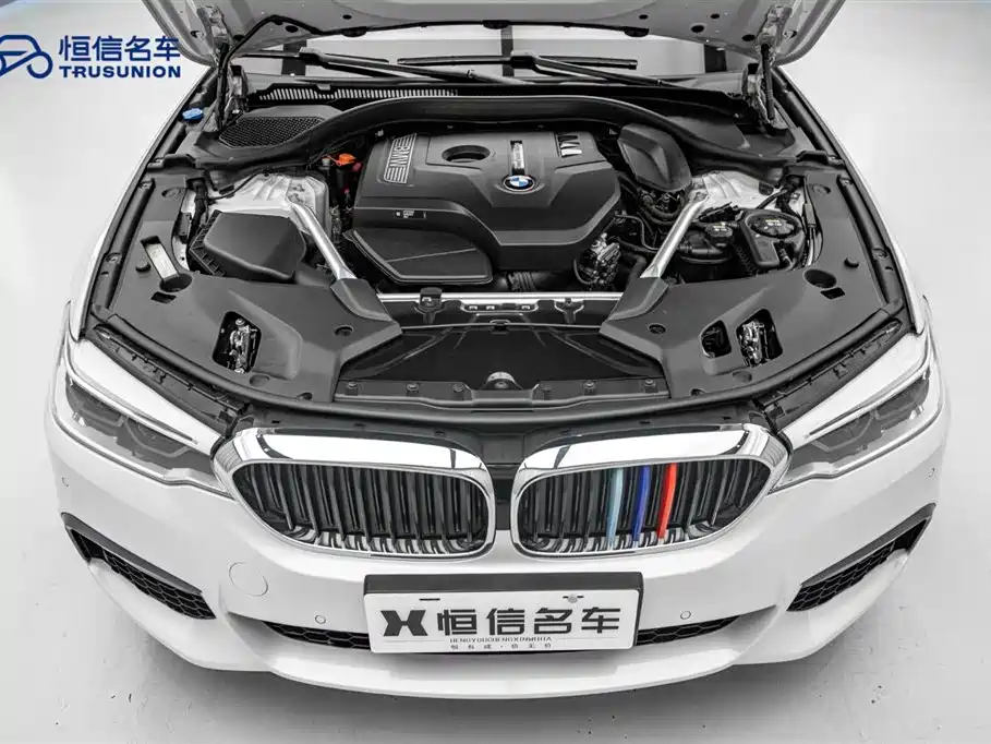 BMW 5 Series 2020 530Li Leading M Sport Package фото 21