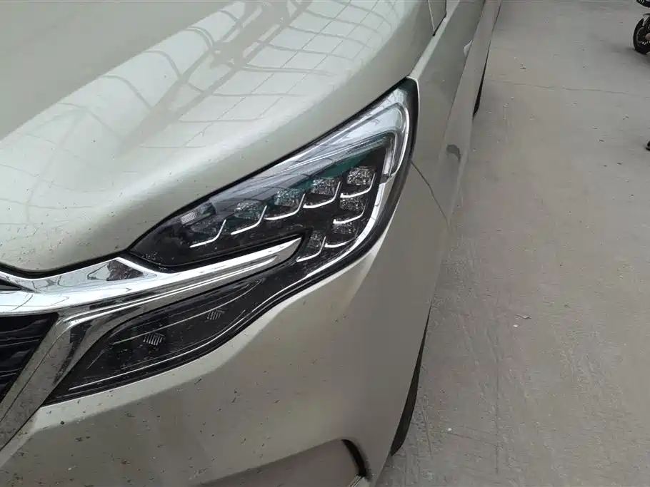 Buick GL8 2021 ES Landlord 653T Premium фото 5