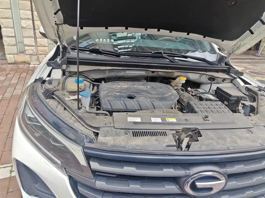 GAC Trumpchi Trumpchi GS4 2020 270T Automatic Elite Tech Version фото 22