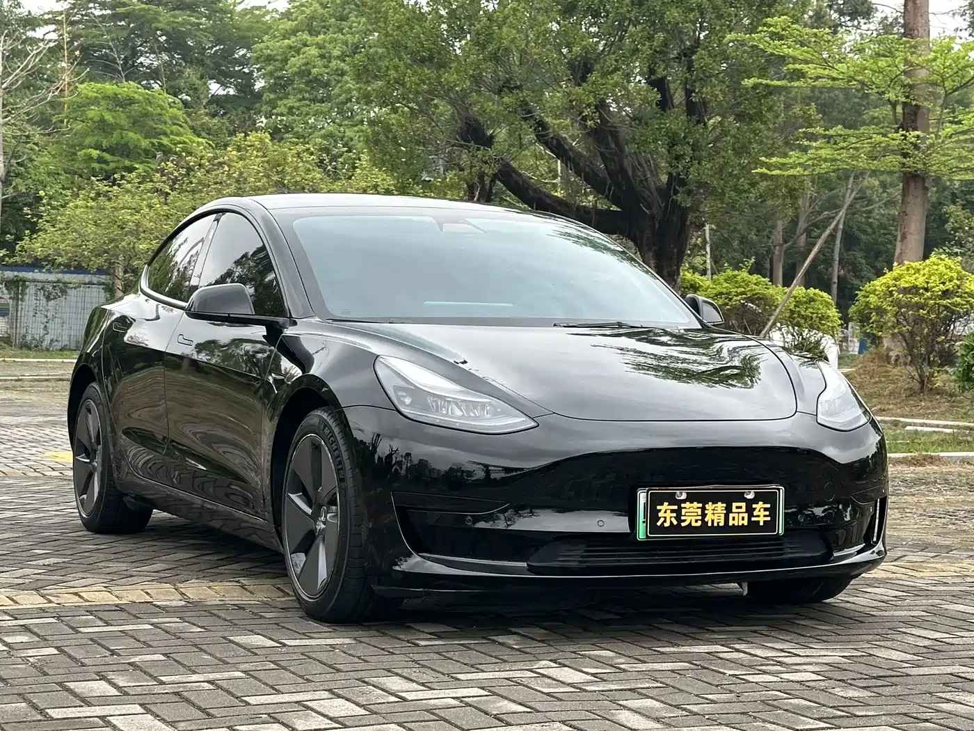 Tesla Model 3 2021