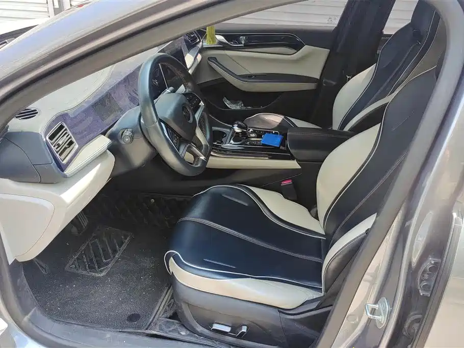 BYD Qin PLUS 2021 EV 510KM Mobility Edition фото 9
