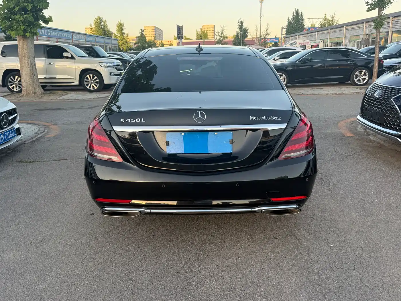 Mercedes-Benz S-Class 2020 S 350 L Business Edition Collector's Version фото 12