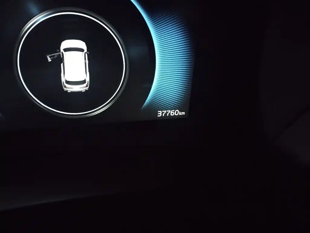 Kia Sportage 2021 Ace 2.0L Brilliant Edition фото 12