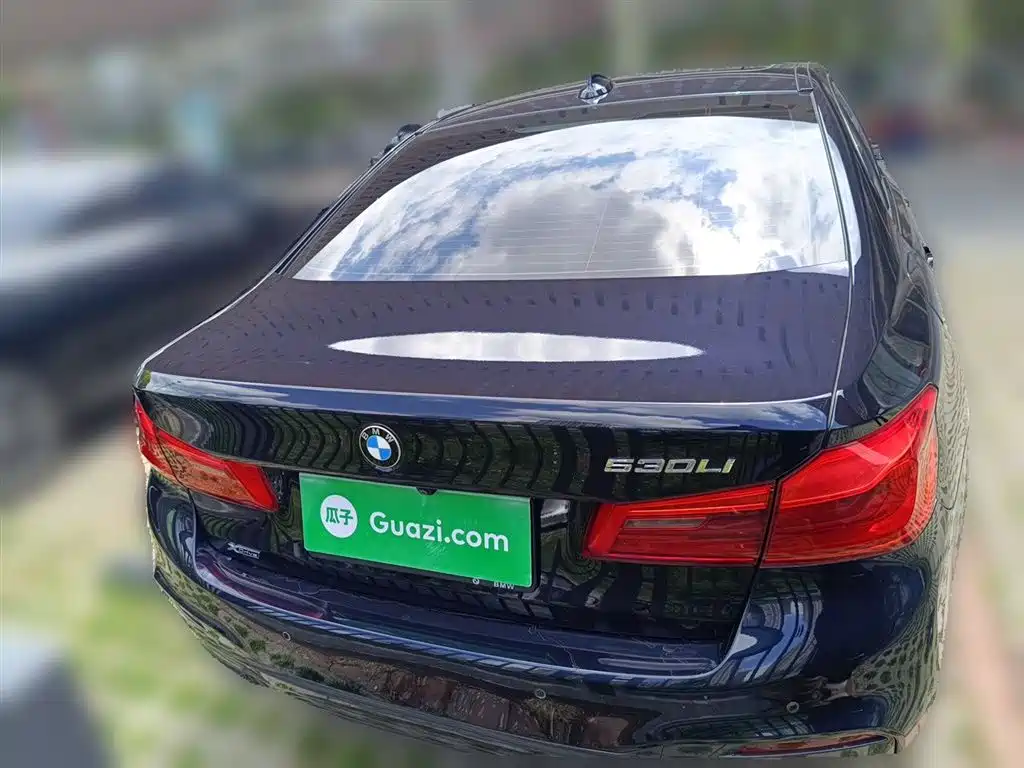 BMW 5 Series 2019 Facelift 530Li xDrive M Sport Package фото 3