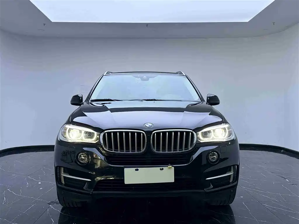 BMW X5 New Energy(Imported) 2016 xDrive40e фото 2