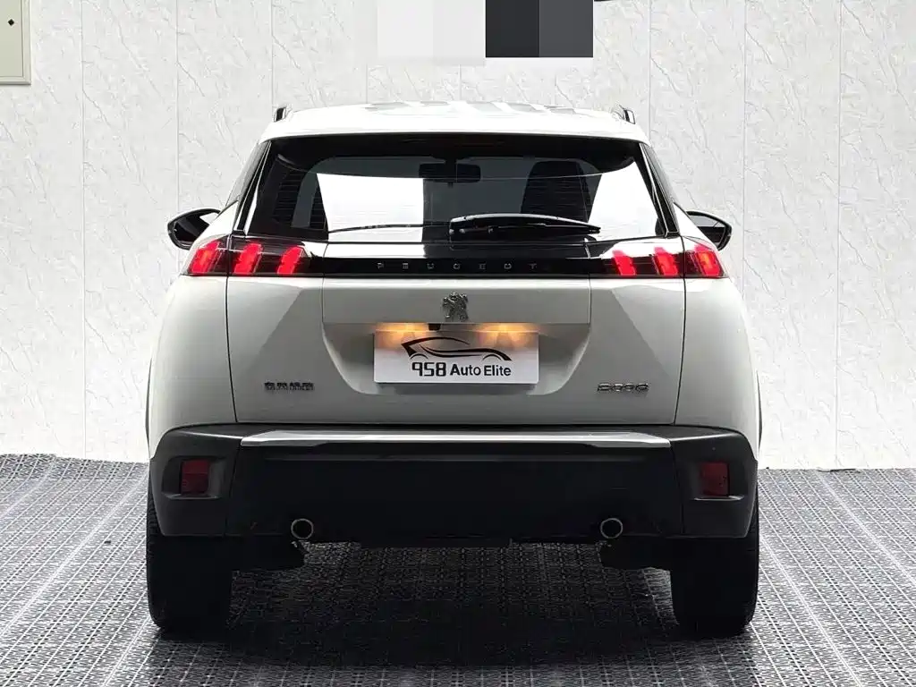 صورة 10 - Peugeot 2008