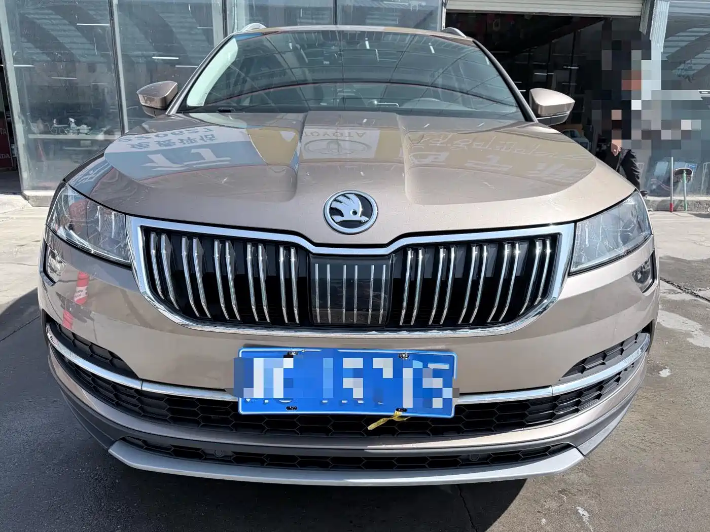 Škoda Karoq 2019 TSI280 Smart Drive Luxury Edition China VI фото 2