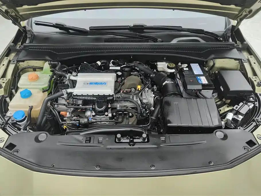 GAC Trumpchi Trumpchi Emkoo 2021 270T DCT J16 Edition фото 10
