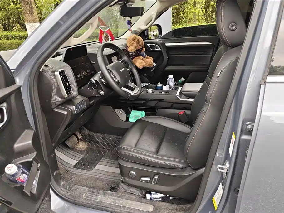 Haval Big Dog 2021 1.5T DCT 2WD Border Collie Edition фото 8