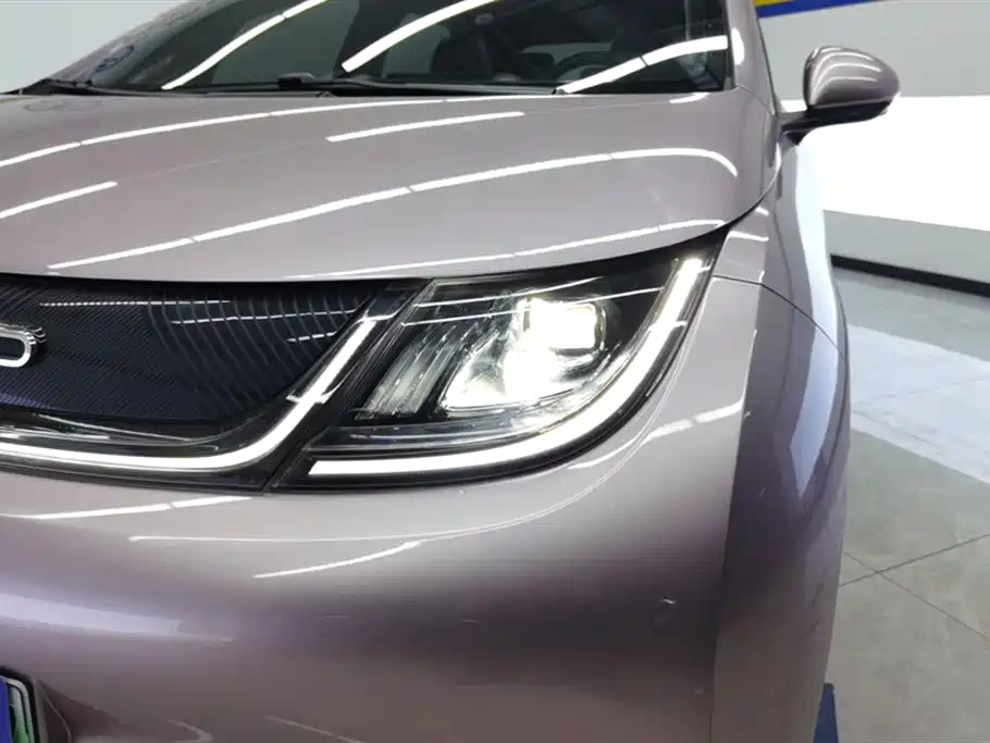 BYD Dolphin 2021 Model 405km Fashion Edition фото 5