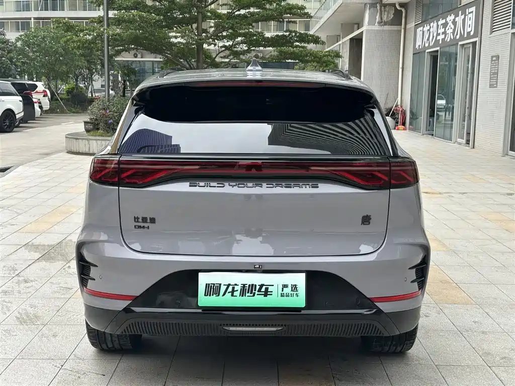 BYD Tang New Energy 2025 DM-i 115KM Prestige Type фото 5