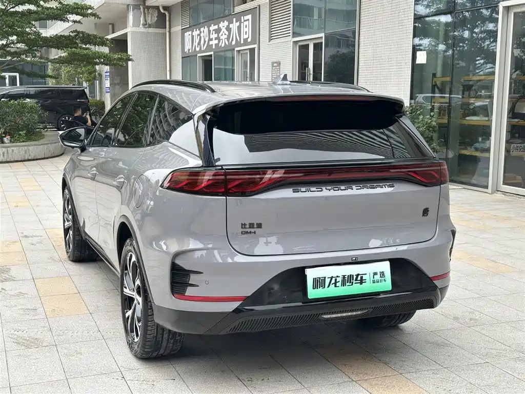 BYD Tang New Energy 2025 DM-i 115KM Prestige Type фото 21