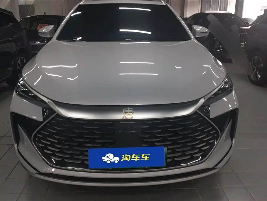 BYD Tang New Energy 2024 DM-i Glory Edition 112KM Deluxe фото 2
