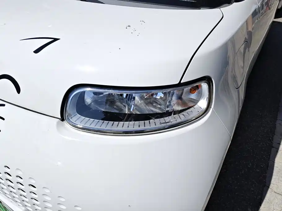 Ora White Cat 2021 2022 Upgraded 305km Luxury (NMC)