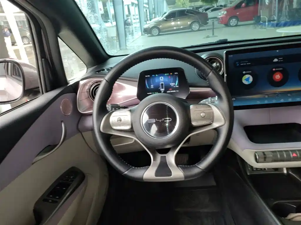 BYD Dolphin 2021 Model 405km Fashion Edition фото 11