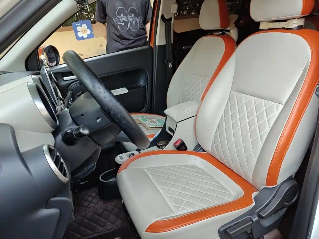 Ora Black Cat 2021 2021 351km Luxury Model