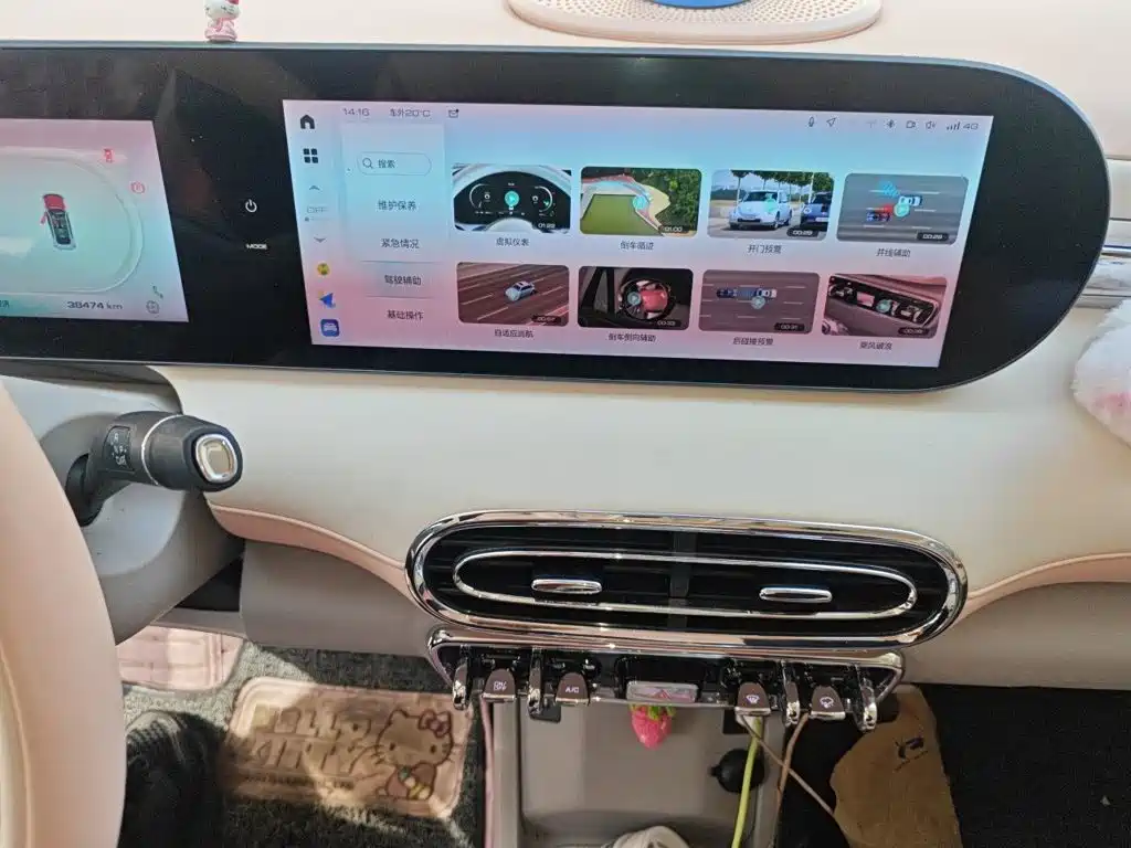 Ora Ballet Cat 2024 2023 500km Premium Model
