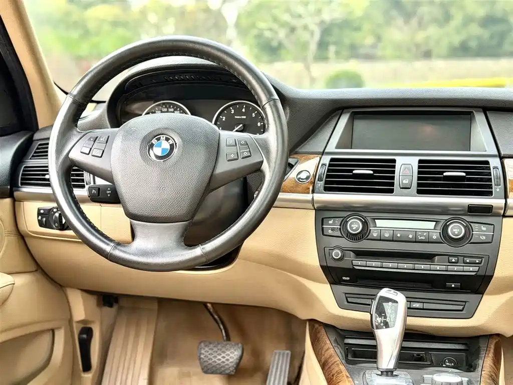 BMW X5 (Import) 2009 xDrive30i Premium фото 4