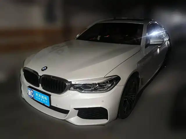 BMW 5 Series 2019 530Li Premium M Sport Package — фото 1