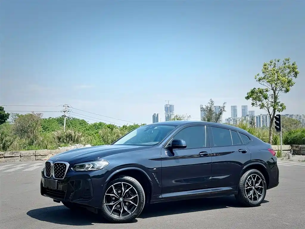 BMW X4 2022 xDrive 25i M Sport Package