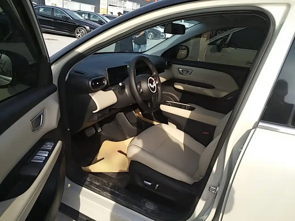 Wuling Motors Wuling Binguo PLUS 2025 2024 Model 330km 5-Seater