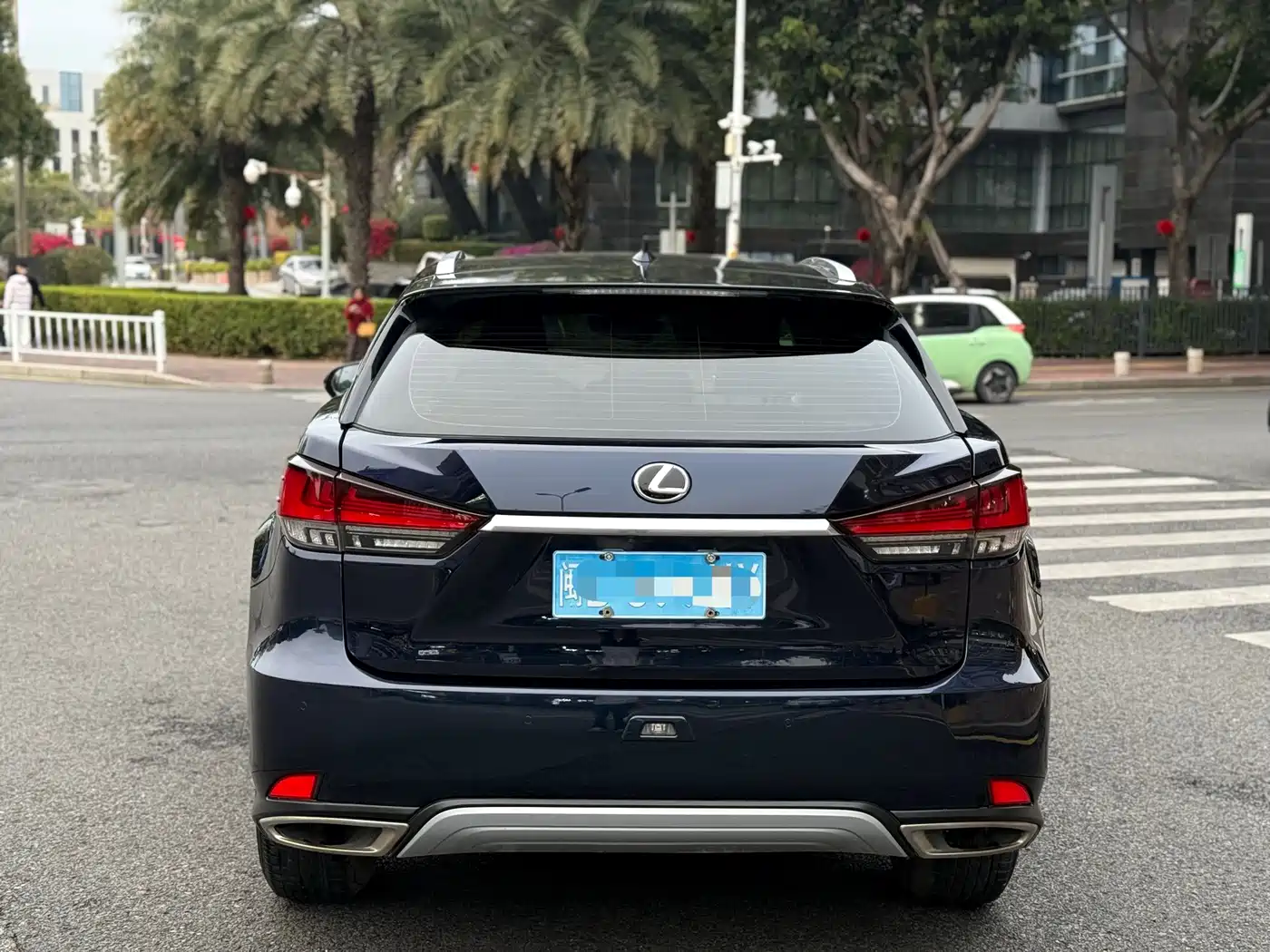 LEXUS RX