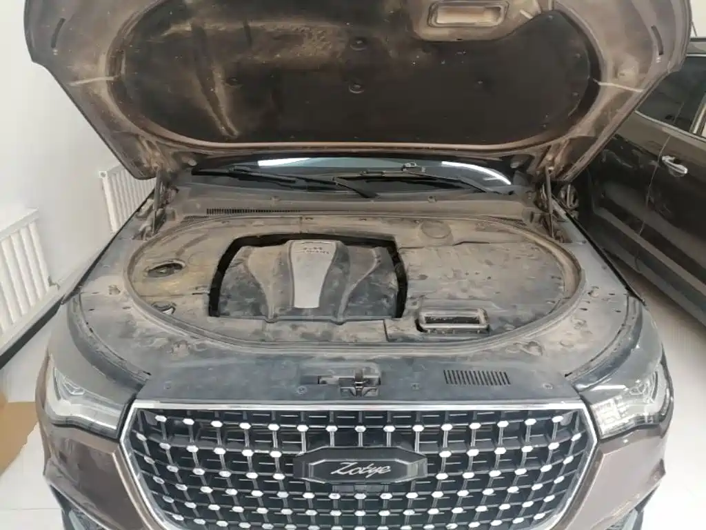 Zotye T700 2019 2017 1.8T DCT Prestige