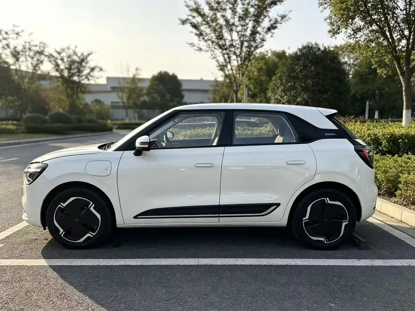 Dongfeng Yipai Nano 01 2025 2024 330 Lite