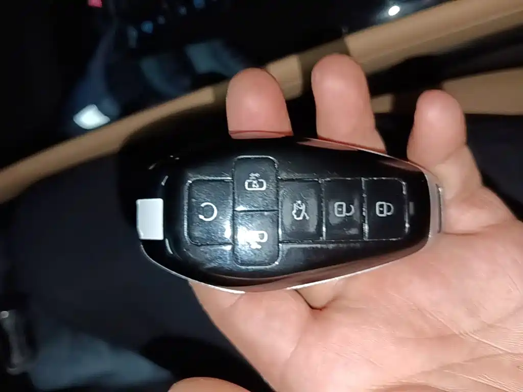 Denza D9 2025 2025 EV Smart Drive Edition 600 AWD Luxury
