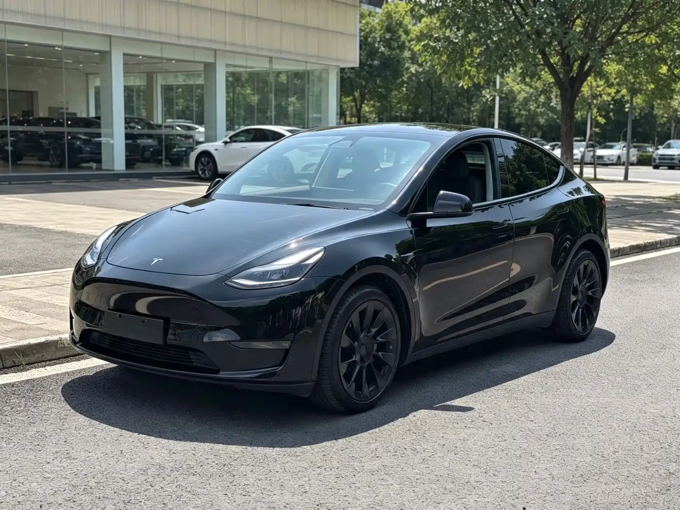 Tesla Model Y 2021