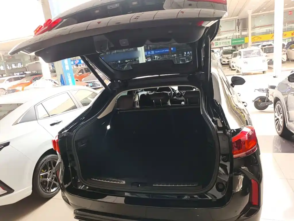 WEY Wei VV7 GT 2020 2020 2.0T Super Luxury