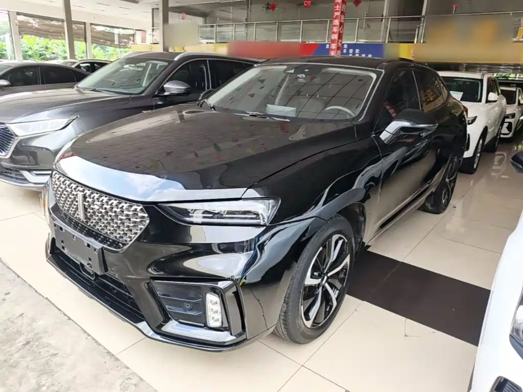 WEY Wei VV7 GT 2020 2020 2.0T Super Luxury