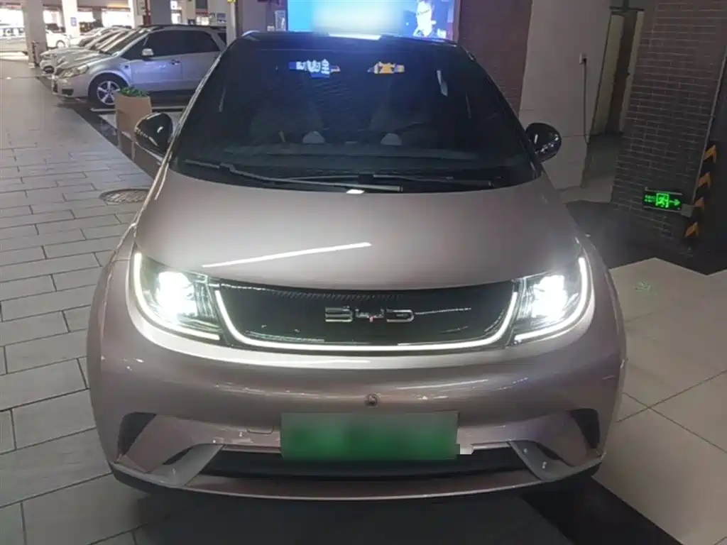 BYD Dolphin 2021 Model 405km Fashion Edition фото 3