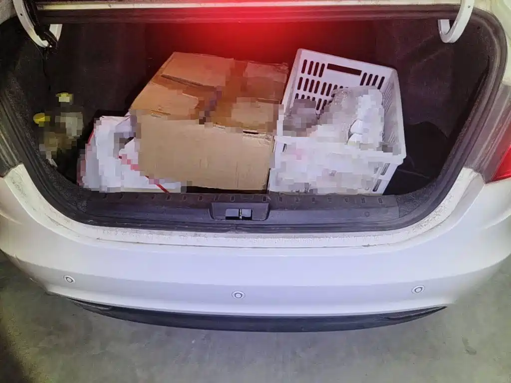 Фото 5 - Dongfeng Aeolus A30