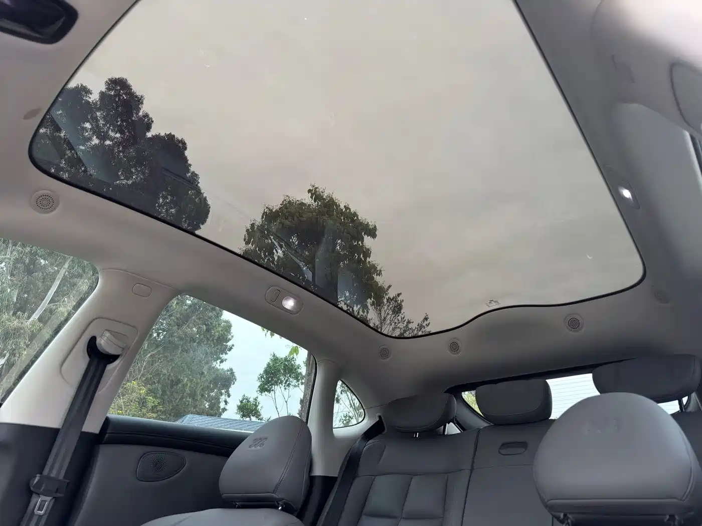 ZHIJI AUTOMOBILE ZHIJI LS6