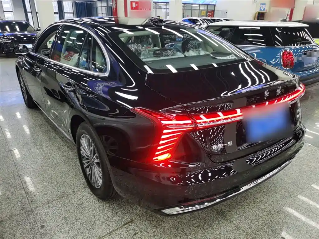 Hongqi H5 2025 1.5T DCT Flag Rhythm 500,000 Units Memorial Edition фото 23