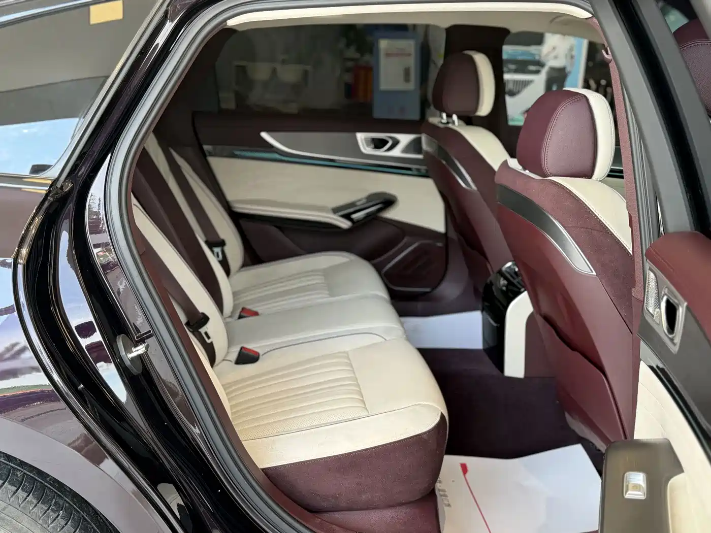 Фото 4 - Hongqi H9