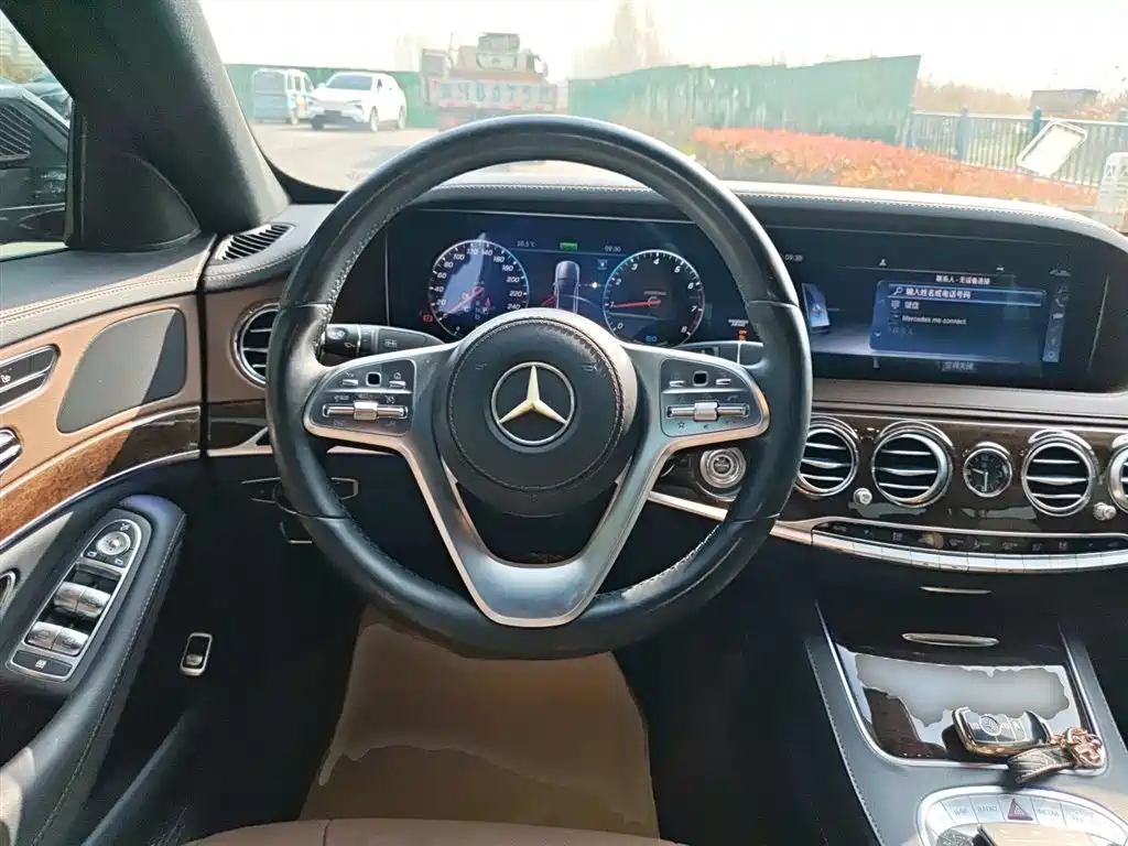 Mercedes-Benz S-Class 2019 S 320 L фото 11